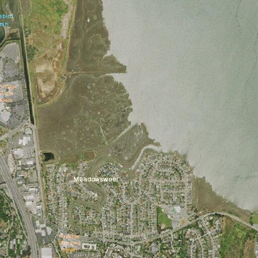 Person suffering cardiac arrest near Paradise Drive