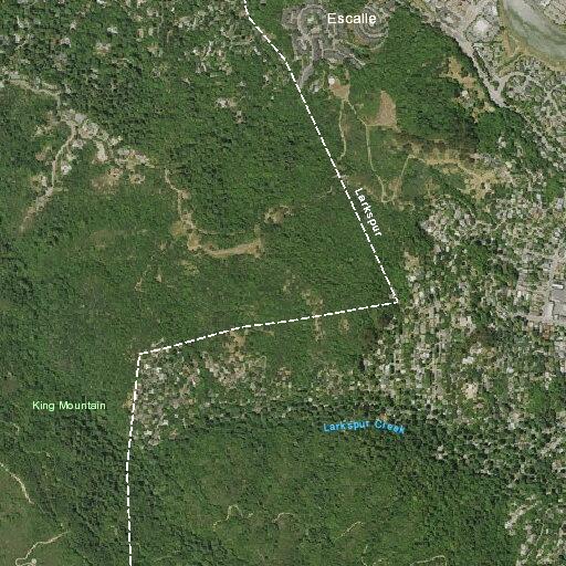 Person suspected of stroke at residence in Larkspur