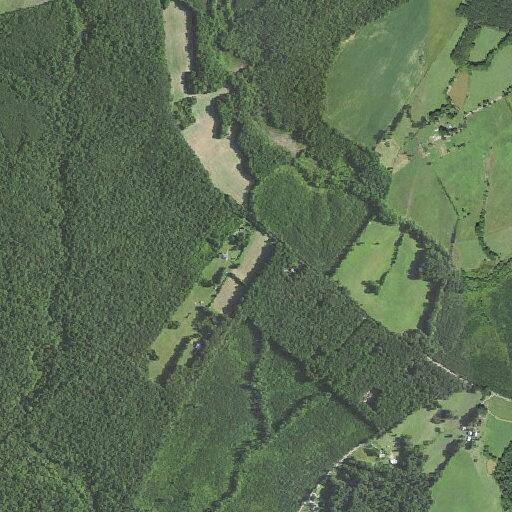 Woman age 48 having stomach issues near Beaverdam