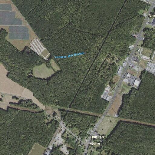 Tree blocking lane on Horse Shoe Road in Oak Hall