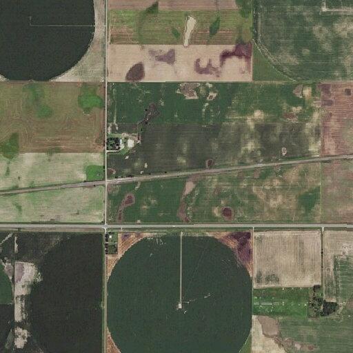 Report of two people in yard on 210th Avenue