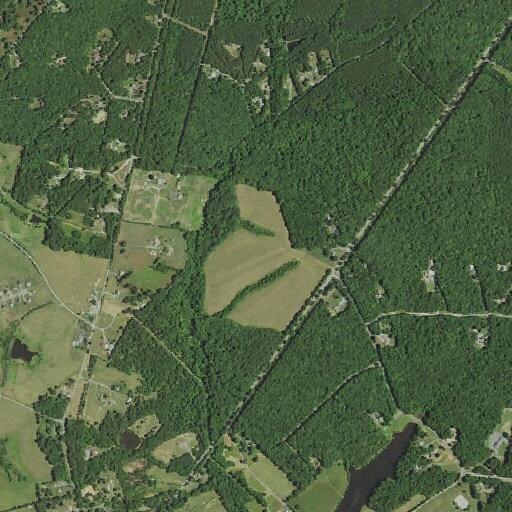 77-year-old man falls near Troy Road, needs assist