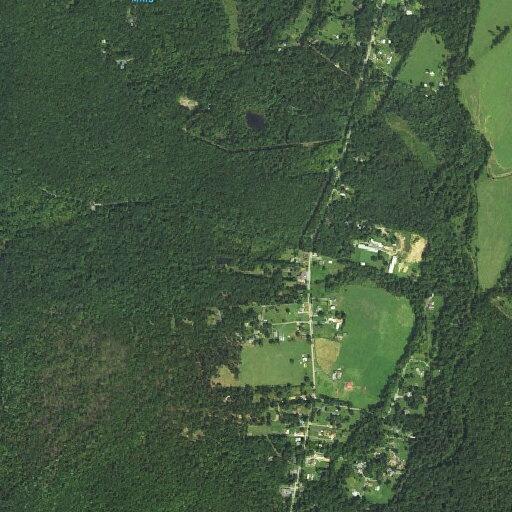 Elderly woman injured arm after fall near Mount Torrey Road