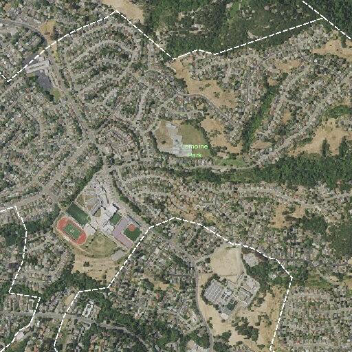 Person suffered a fall near Pine Hill Drive