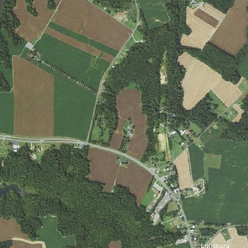 Tree down on power lines on Northumberland Highway