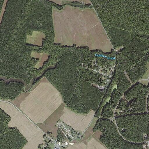 Person treated for general illness near Hornstown