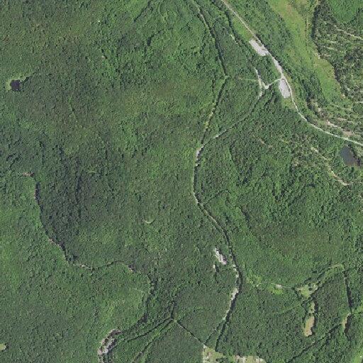 Car hits deer at Babcock State Park, vehicle smoking