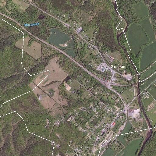 Elderly female with irregular heartbeat evaluated near Spring Neck Road