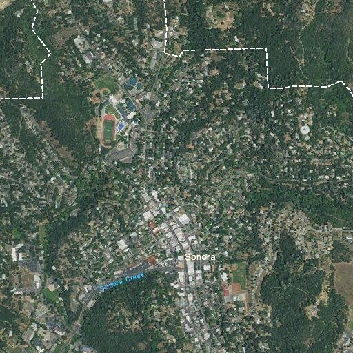 Loose dogs reported on porch in Sonora neighborhood