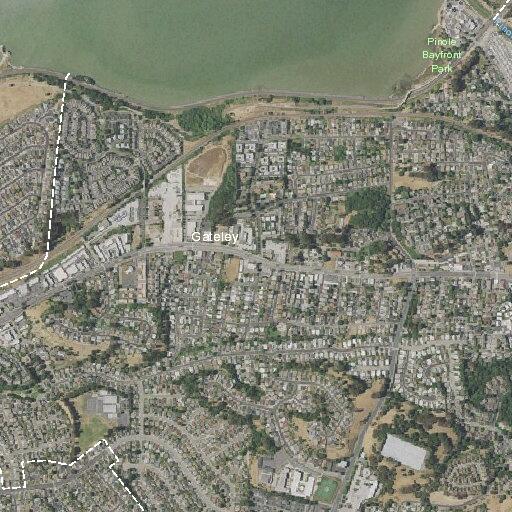 Woman vomiting and disoriented near Roble Avenue in Pinole