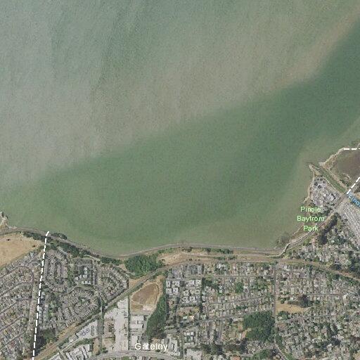 Woman vomiting with altered mental status in Pinole