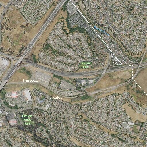 Elderly woman suspected of urinary tract infection