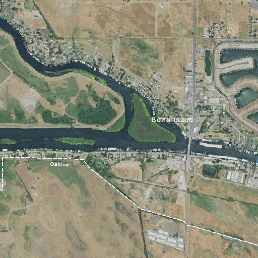 Possible DOA reported for adult male near Bethel Island and Sunset