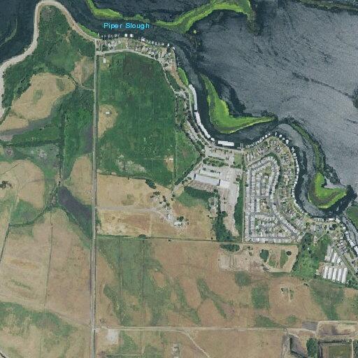 Man feeling unwell near Porter Circle in Bethel Island