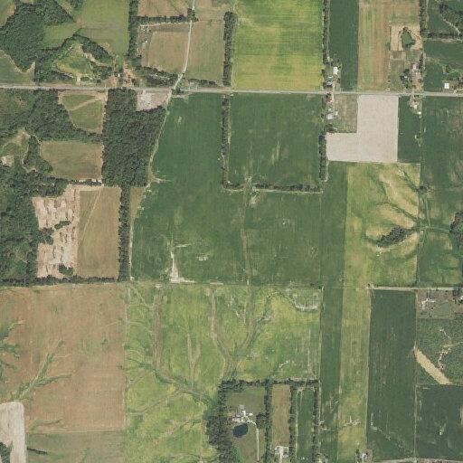 Field fire near Sassafras Road prompts mutual aid