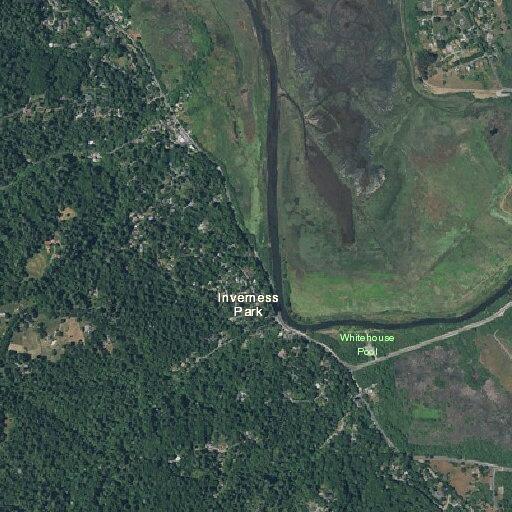 Public assist for water problem near intersection