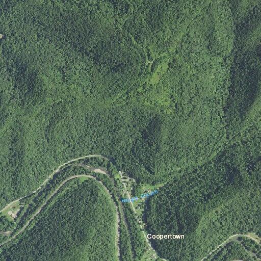 63-year-old woman fallen with possible broken leg