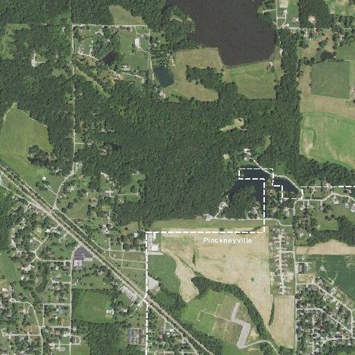 Loose cattle reported near Illinois 154 and 51