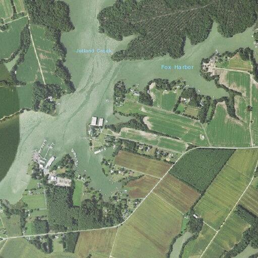 Person reporting abdominal pain at Deep Cove Lane