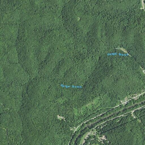 Elderly man experiencing chest pain near Natters Creek, Ranger