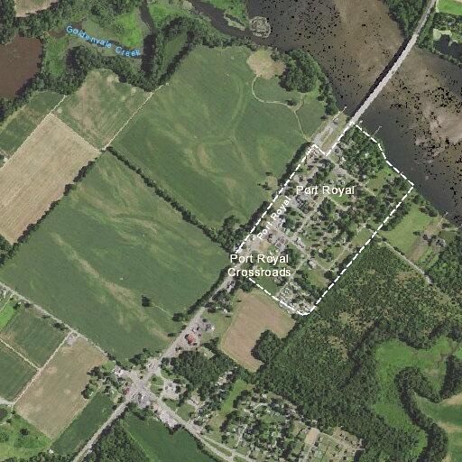 Tree blocking lanes on Route 17 near Port Royal