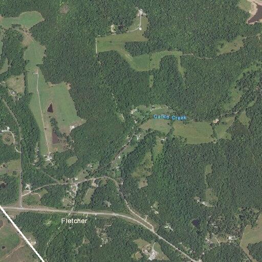 Person sick near Calico Creek Road in Fletcher, MO