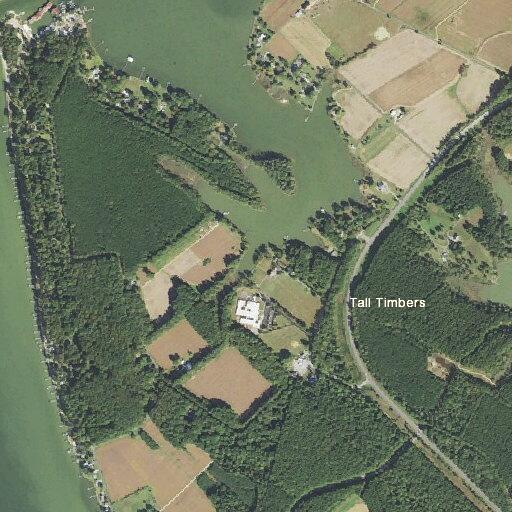 Person having a seizure near Tall Timbers Road