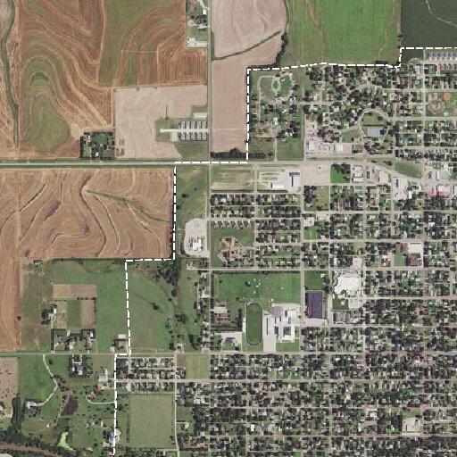 87-year-old man dizzy and unable to rise after fall