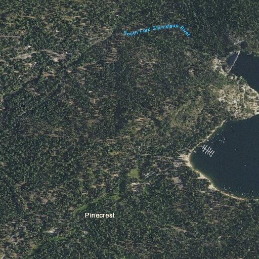 Person having seizure near Forest Road 04 in Pinecrest