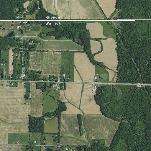 Car and deer collision on West State Road 68