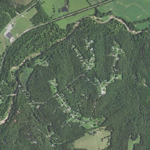 79-year-old woman falls near Saddle Drive