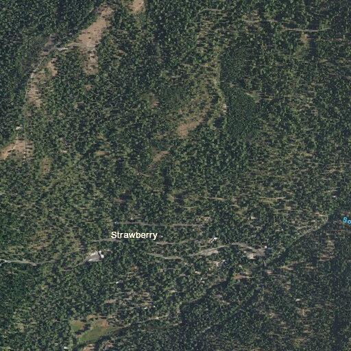 Officers search for male who left Strawberry property