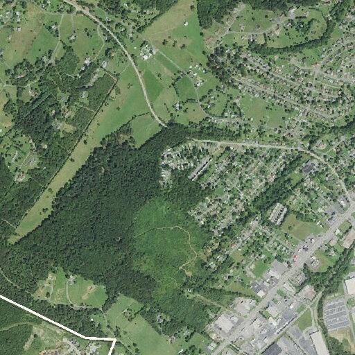 85-year-old woman having shortness of breath in Verona