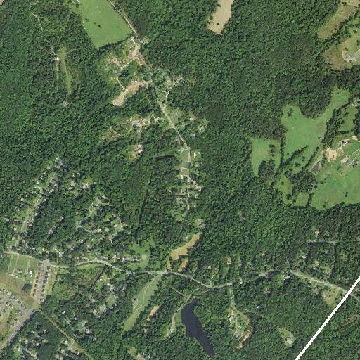 93-year-old male falls, head injury with bleeding, unresponsive