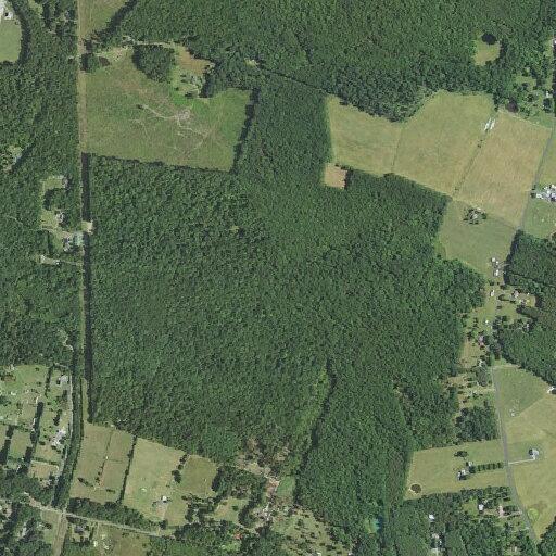 Person with general illness near Harriston Road