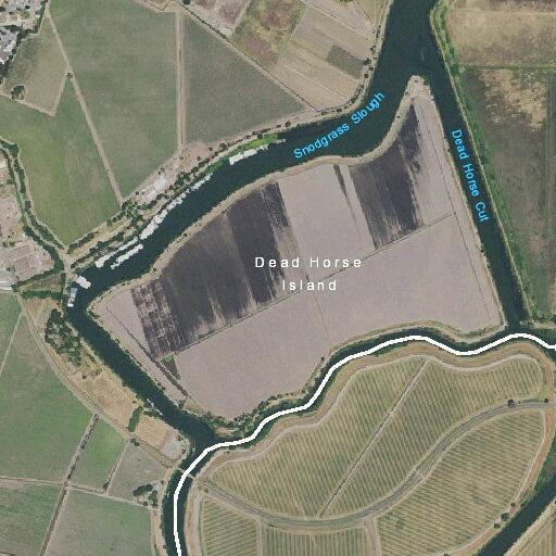 Search for missing Harley Davidson rider