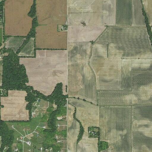 Dispute between neighbors over trench and missing dog