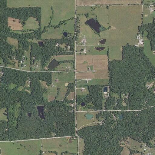 Domestic dispute with psychiatric concern in Grubville