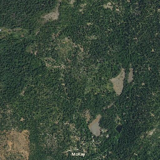 Assistance request near vegetation fire on McKay Road