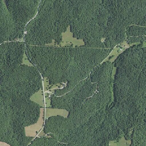 Woman disoriented near Hillbilly Way
