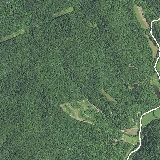 Heated domestic dispute near Berry Branch Drive in Branchland