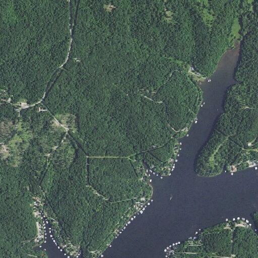 Partially submerged tree hazard on local waterway