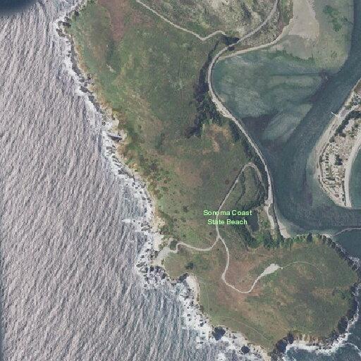 Dog locked in vehicle at Bodega Head Park