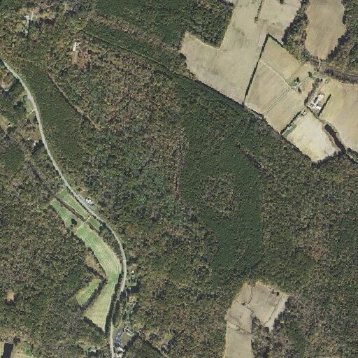 Animal in distress reported on Rock Point Road