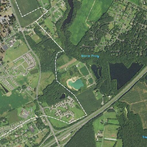 Woman with head injury after reported assault