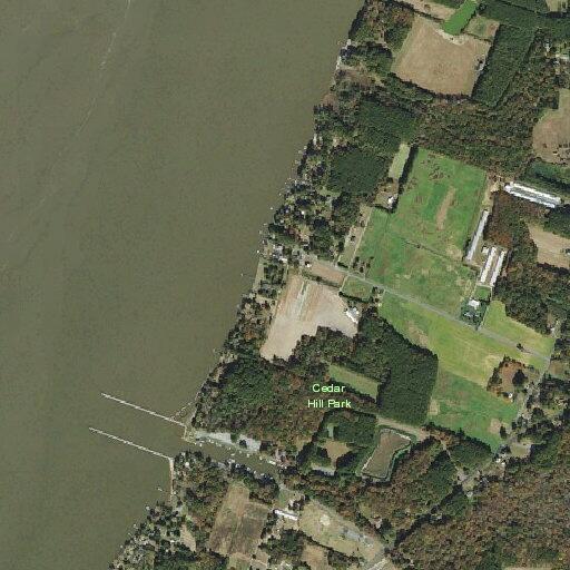Teen girl with ankle injury at Cedar Hill Park
