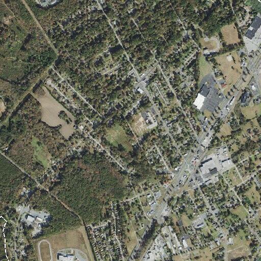 Domestic escort dispute at Pine Street home
