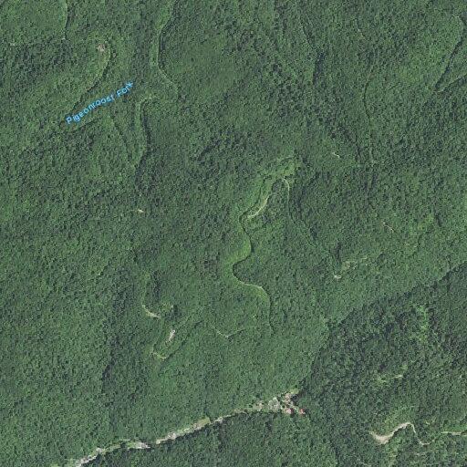Catheter issue reported by elderly male near Eight Mile Hollow