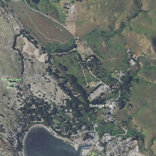 Wires reported down near Windy Lane in Bodega Bay