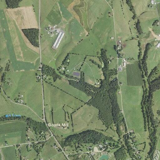Loose cows reported on Port Republic Road